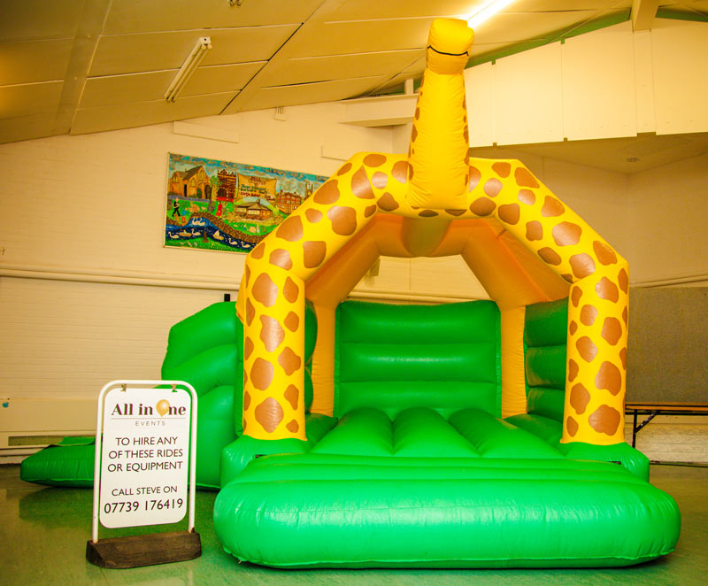 Giraffe Combo Castle/Slide